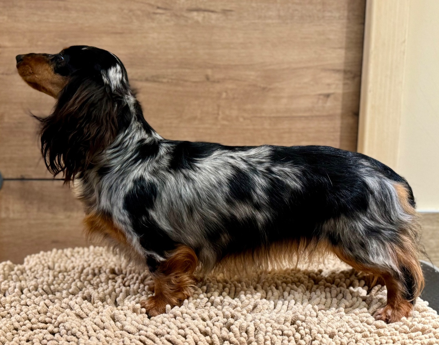 Von Bubble De Jaykay Land