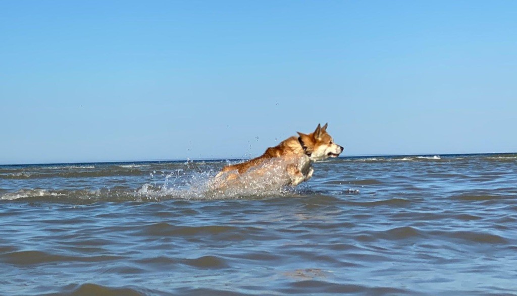 LES WEEK ENDS A LA MER