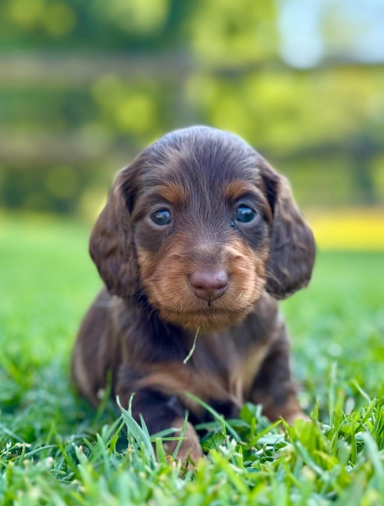 Pour le plaisir des yeux