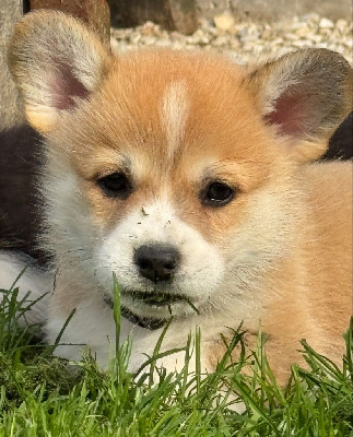APRIL